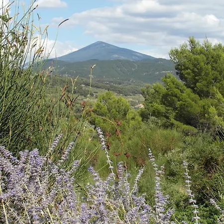Affittacamere Domaine La Rabassiere *